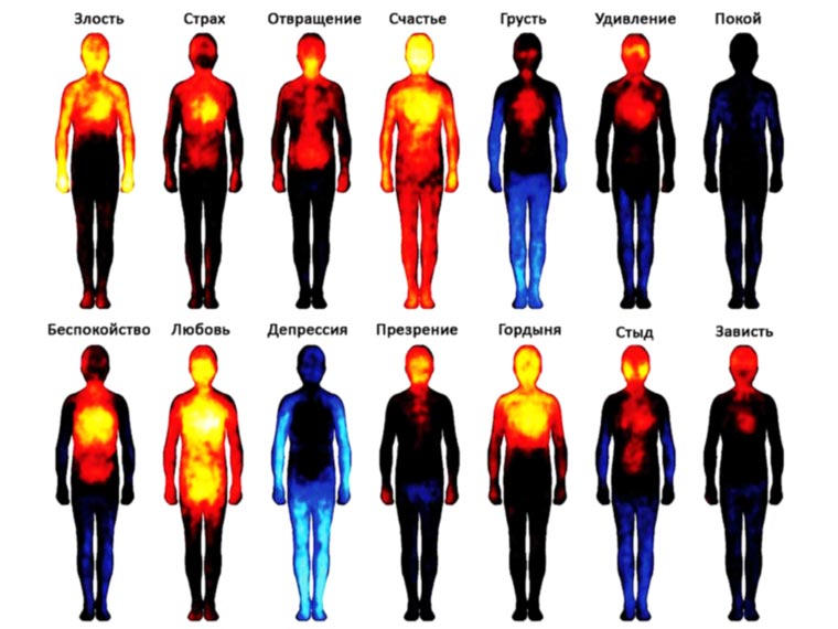 Тепловая карта эмоций. Где ощущаются эмоции?