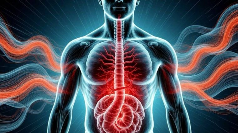 Психосоматика - когда тело говорит быстрее, чем мысли