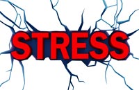 Иллюстрация / Что нужно знать о стрессе?