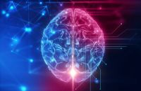 Некоторые ключевые способности человеческого мозга с возрастом улучшаются