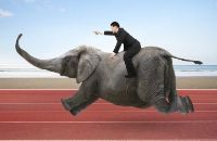 Иллюстрация / Тест на деловую хватку: сможете продать слона?