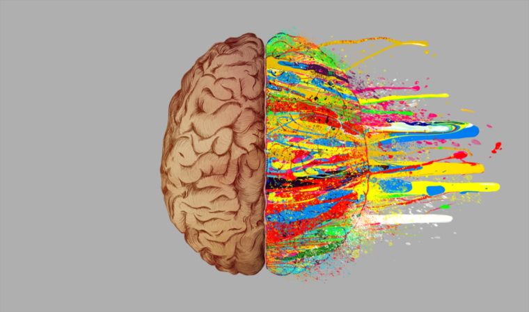 10 способов понять какое полушарие мозга доминирует