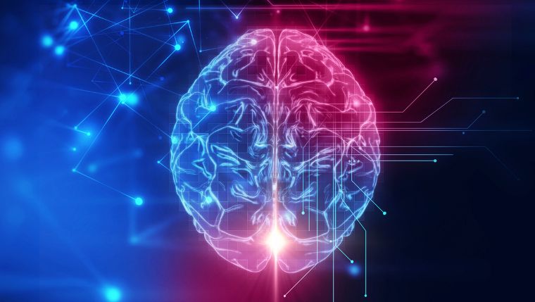 Некоторые ключевые способности человеческого мозга с возрастом улучшаются
