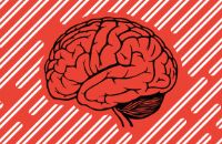 3 научных способа обмануть мозг, чтобы заставить его работать