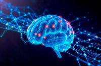 Иллюстрация / 5 профессиональных методов восполнить дефицит альфа-волн