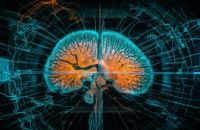 Иллюстрация / Что значит быть умным человеком?