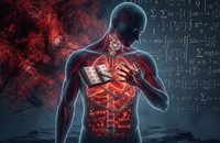 Иллюстрация / Психосоматическая математика: почему тело всегда «складывает» несказанное